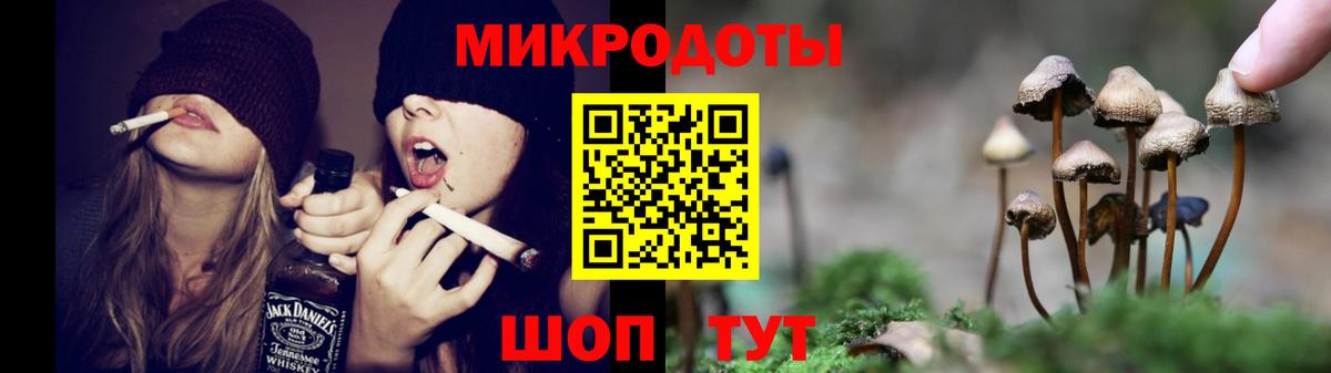 Псилоцибиновые грибы GOLDEN TEACHER Бузулук